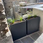 Delfina Giardino 013239-cni-00130 *