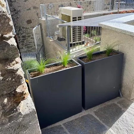 Delfina Giardino 013239-cni-00130 *