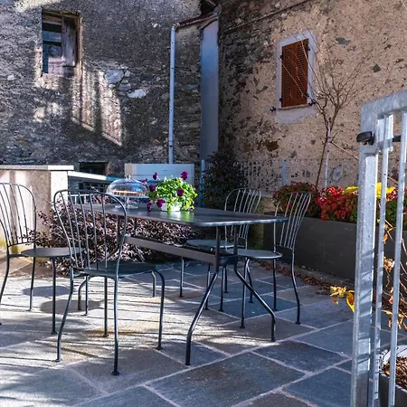 Delfina Giardino 013239-cni-00130 *